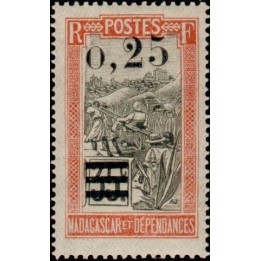 Madagascar - 126