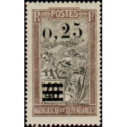 Madagascar - 127