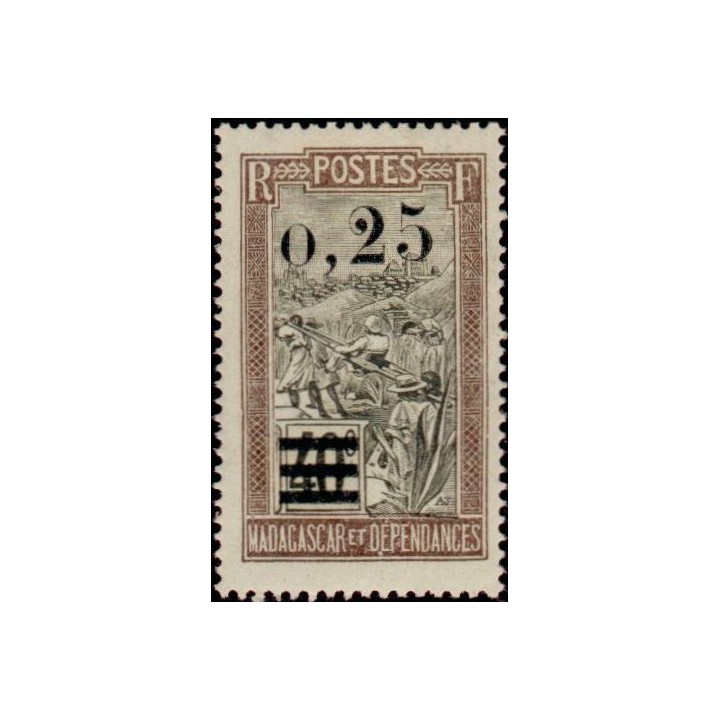 Madagascar - 127