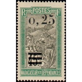 Madagascar - 128