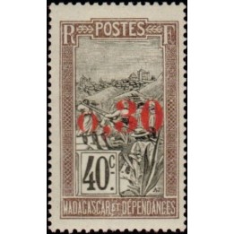 Madagascar - 129