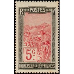Madagascar - 131