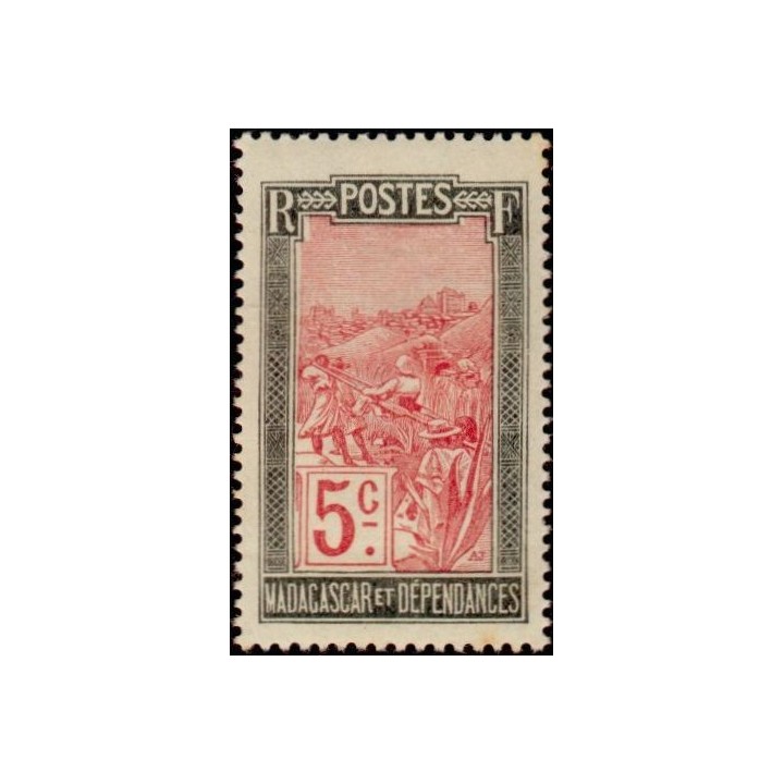 Madagascar - 131
