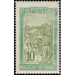 Madagascar - 132