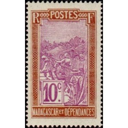 Madagascar - 133