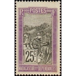 Madagascar - 134
