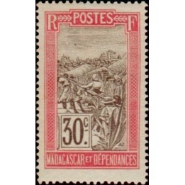 Madagascar - 135