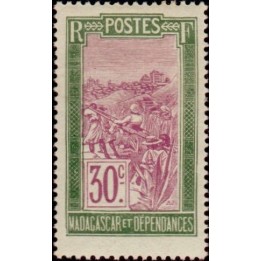 Madagascar - 136