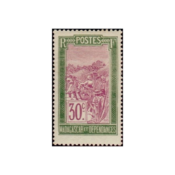 Madagascar - 136