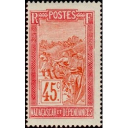 Madagascar - 137