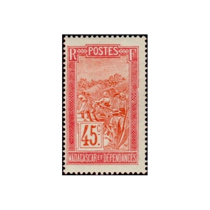 Madagascar - 137