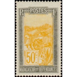 Madagascar - 139