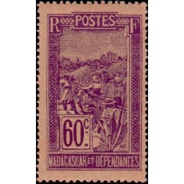 Madagascar - 140