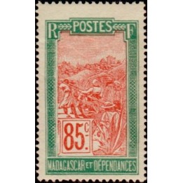 Madagascar - 142
