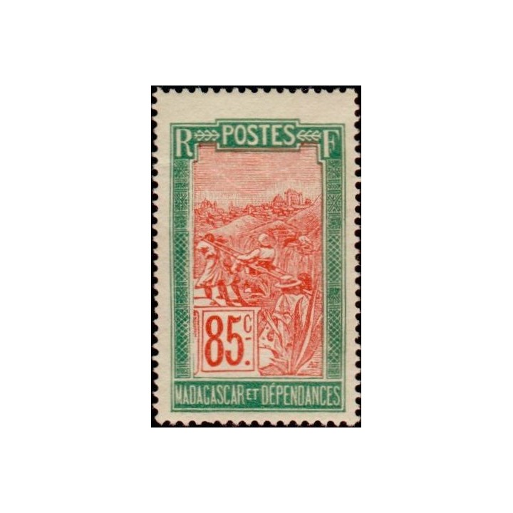Madagascar - 142