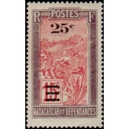 Madagascar - 144