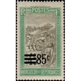 Madagascar - 149