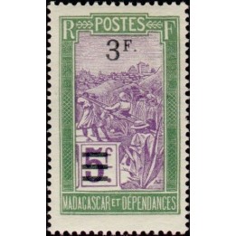 Madagascar - 153