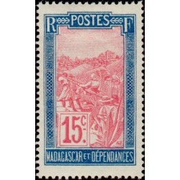 Madagascar - 157