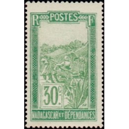 Madagascar - 158