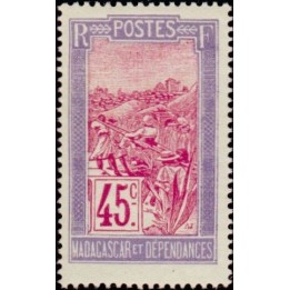 Madagascar - 159