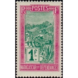 Madagascar - 160