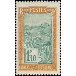 Madagascar - 161