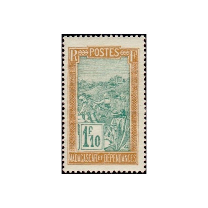 Madagascar - 161