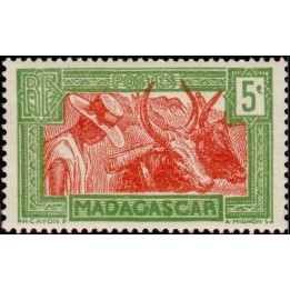Madagascar - 164