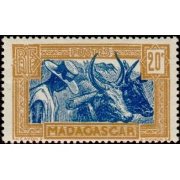 Madagascar - 167