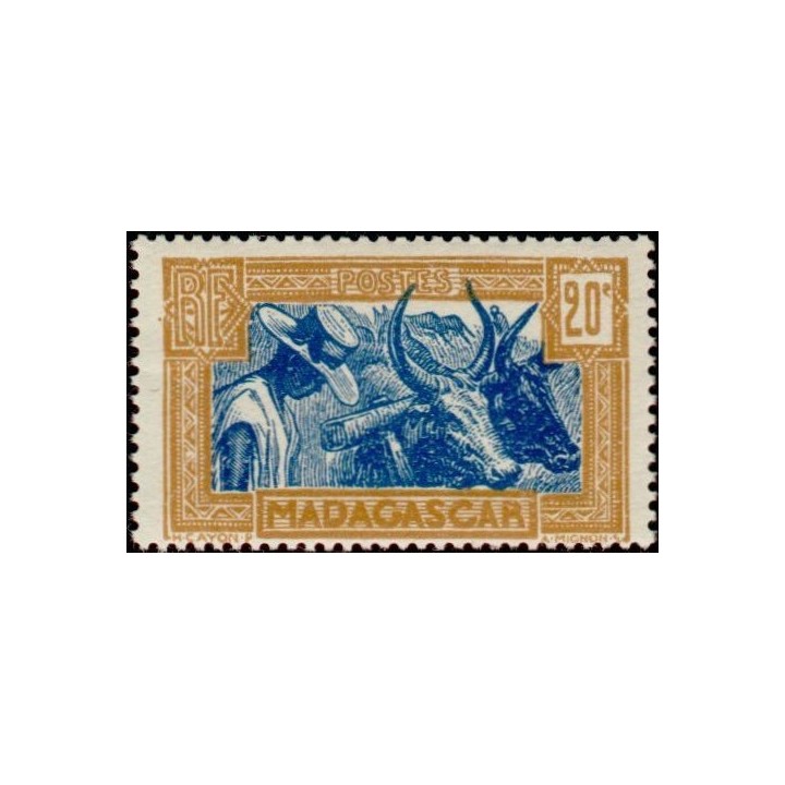 Madagascar - 167