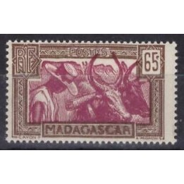 Madagascar - 172