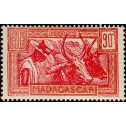 Madagascar - 174