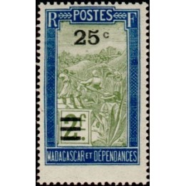 Madagascar - 188