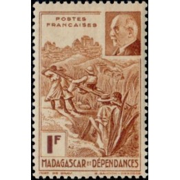 Madagascar - 229