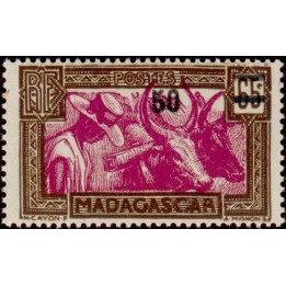 Madagascar - 234