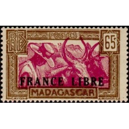 Madagascar - 236