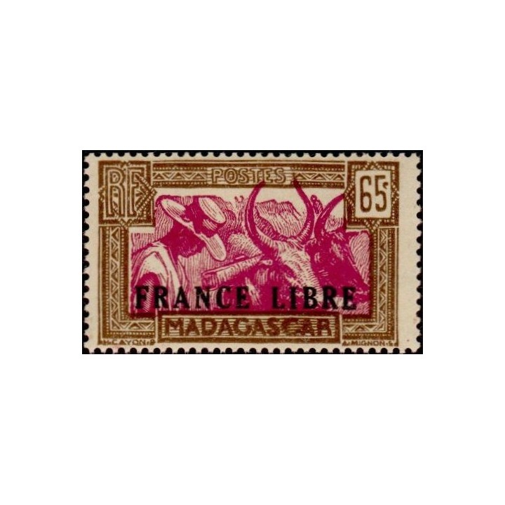 Madagascar - 236