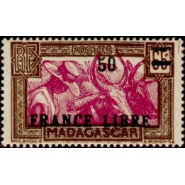 Madagascar - 239