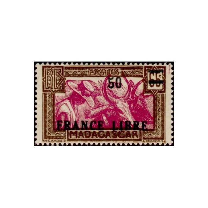 Madagascar - 239