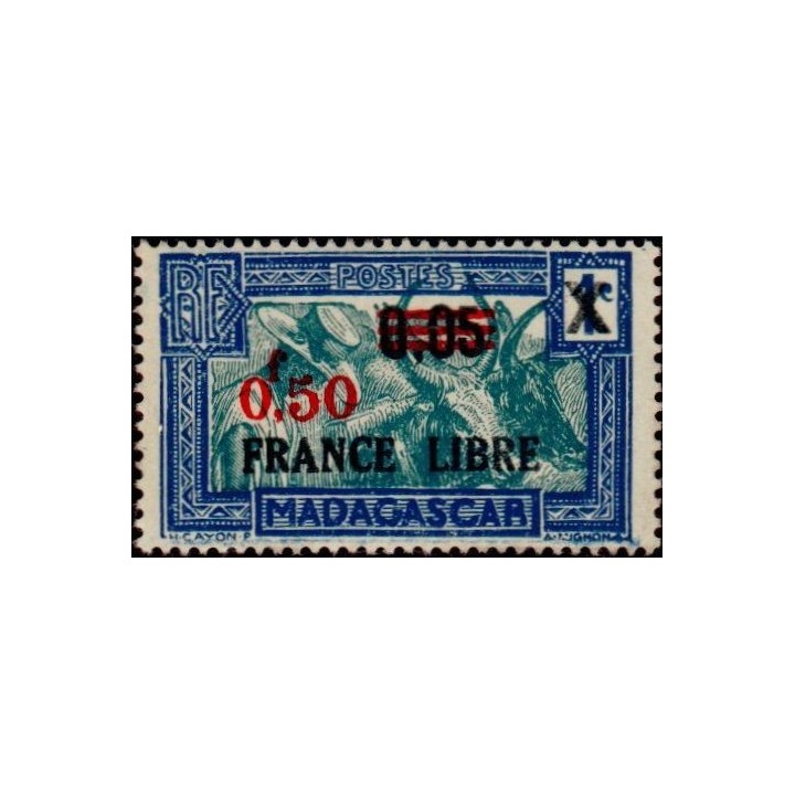 Madagascar - 241
