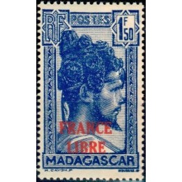 Madagascar - 248