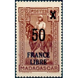 Madagascar - 258