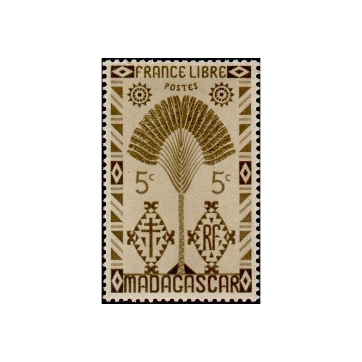 Madagascar - 265