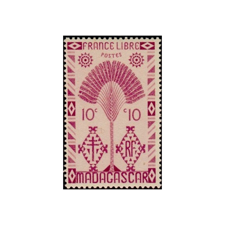 Madagascar - 266