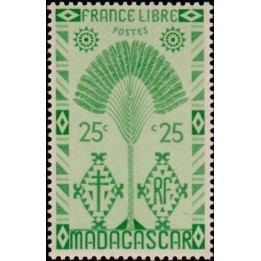 Madagascar - 267