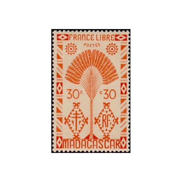Madagascar - 268