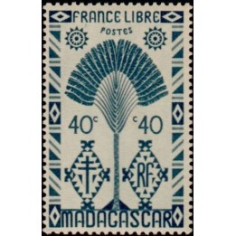 Madagascar - 269