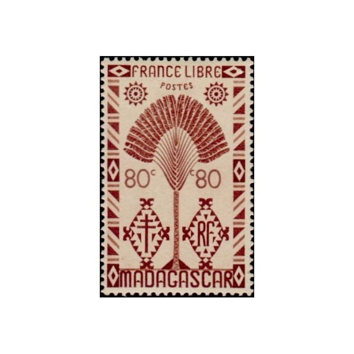 Madagascar - 270