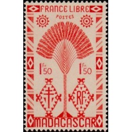 Madagascar - 272